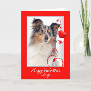 Cartão De Festividades Blue Merle Sheltie Valentine