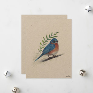 Cartão De Festividades Bluebird Bird Art