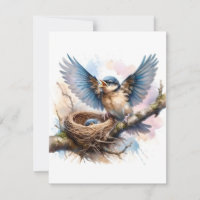 Bluebird No Ninho Em Aquarelas