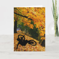 BMX