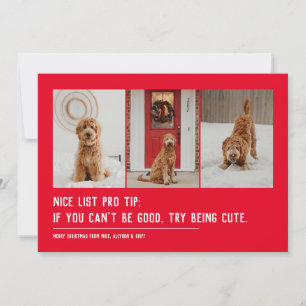 Cartão De Festividades Boa lista animal engraçado três fotos Natal