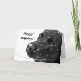 Cartão De Festividades Boas festas!