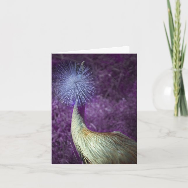 Cartão De Festividades boas festas & aprecie o ano novo (Frente)