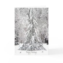 Boas Festas: Desfrute dos Prazeres Simples-Boston