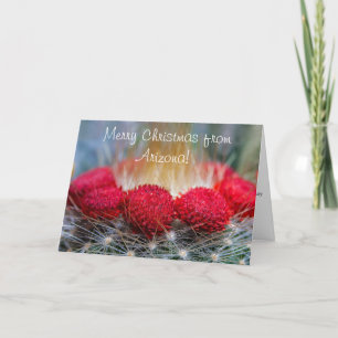 Cartão De Festividades Boas Saudações Do Deserto Com Flores De Cactus V