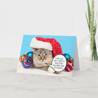 Cartão De Festividades Bolas de Natal de gato sexy e engraçadas