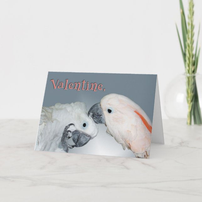 Cartão De Festividades Bom cuidado (Frente)