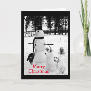 CARTÃO DE FESTIVIDADES BONECO DE NEVE DESEJA O NATAL PARA O **SOBRINHO JO