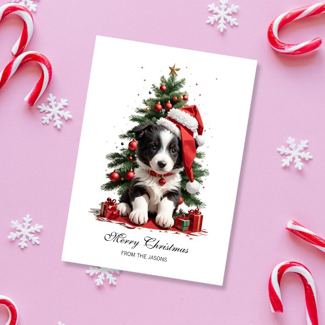 Cartão De Festividades Bonita fronteira Collie Puppy de Natal Personaliza (Cute Border Collie Christmas Card)