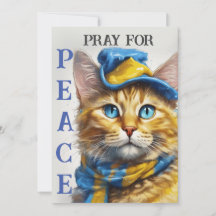 Bonito Gato Amarelo com Olhos Azuis - ucrânia