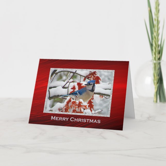 Cartão De Festividades Bonito Natal da neve com Jay Azul (Frente)