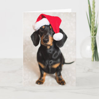 Cartão De Festividades Bonito Sparkle Dachshund Puppy vestindo chapéu de