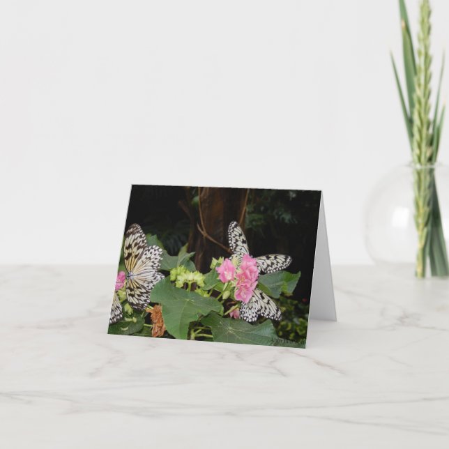 Cartão De Festividades Borboletas amarelas em folhas tropicais com flores (Frente)