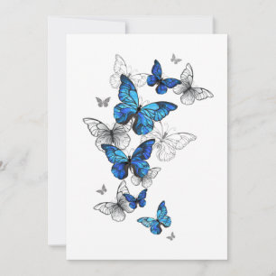 Cartão De Festividades Borboletas Azuis Morpho