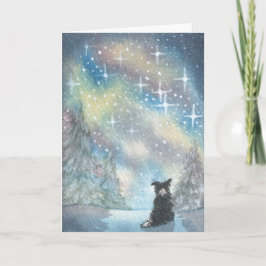 Cartão De Festividades Borda Collie Olha O Céu Estrelado, O CarTinho De F