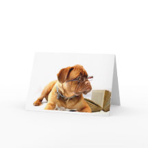 Bordeaux Mastiff, Mastiff francês Bordeauxdog Gift