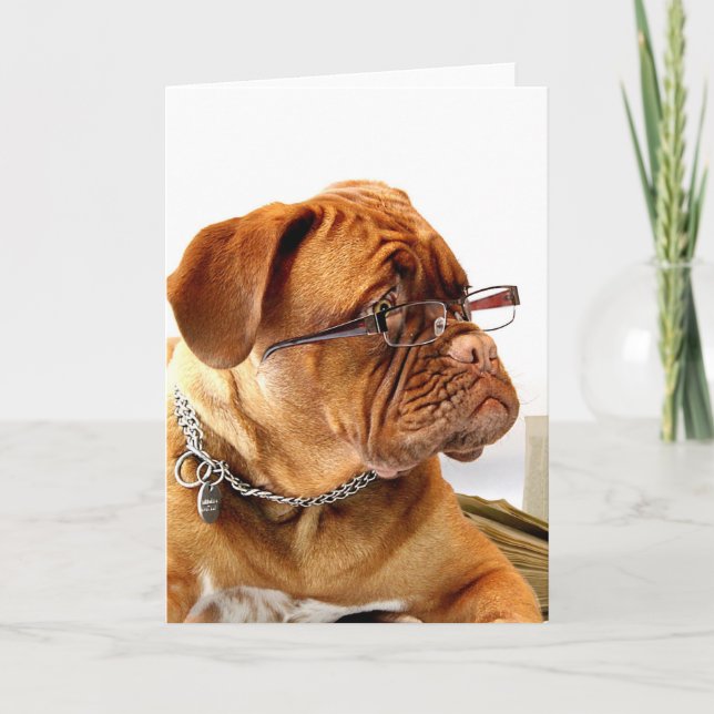 Cartão De Festividades Bordeauxdog (Frente)