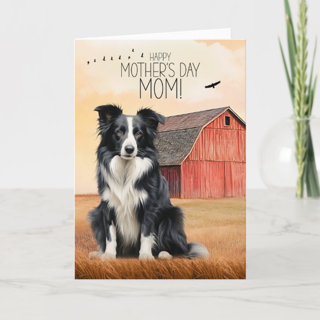 Cartão De Festividades Border Collie and Red Barn Mother's Day (Frente)