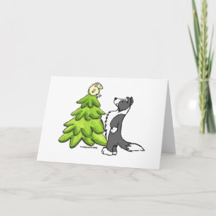 Cartão De Festividades Border Collie Christmas