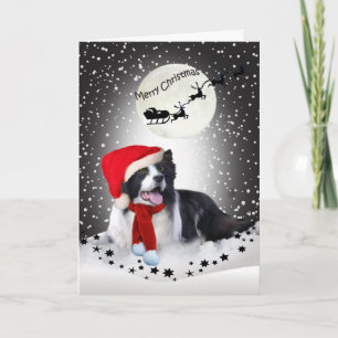 Cartão De Festividades Border Collie Christmas Sharing