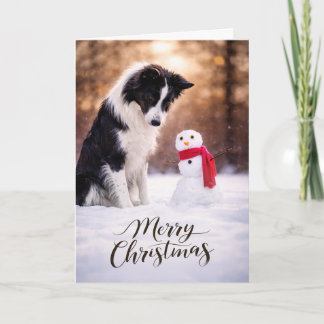 Cartão De Festividades Border Collie Christmas Snowman Card