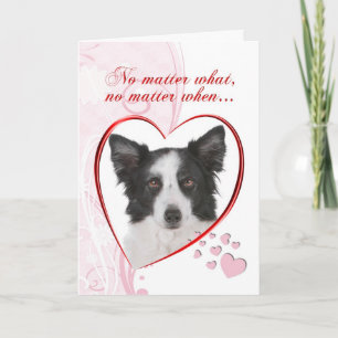 Cartão De Festividades Border Collie Valentine