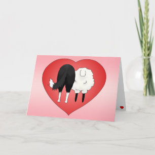 Cartão De Festividades Border Collie Valentine's Day