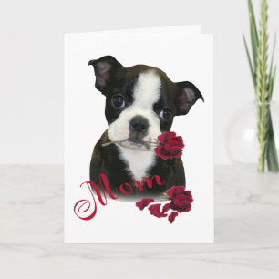 Cartão De Festividades Boston Terrier Mom