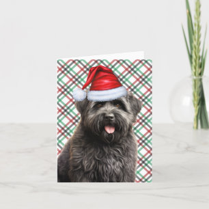 Cartão De Festividades Bouvier Christmas Dog Green Red Xadrez Natal