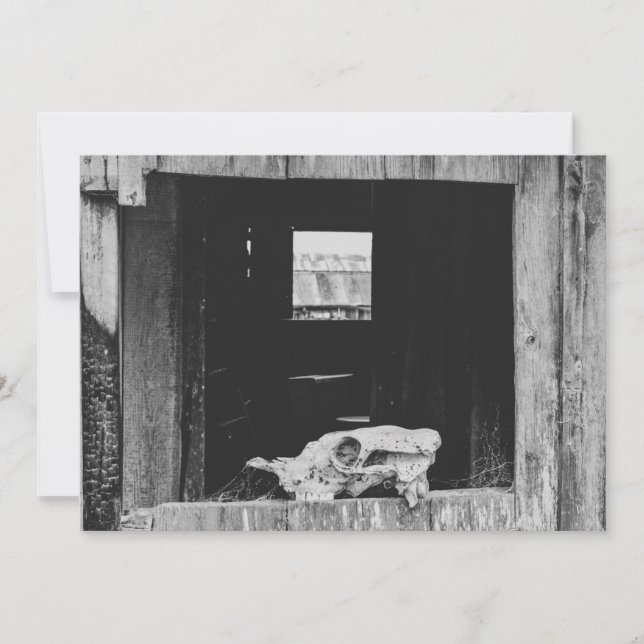 Cartão De Festividades Bovinos (Frente)