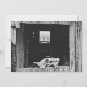 Cartão De Festividades Bovinos