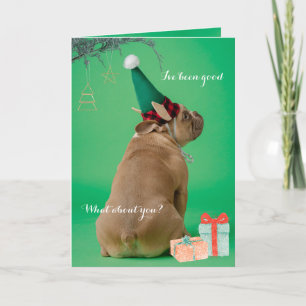 Cartão De Festividades Boxer Boxer Christmas I've Good Folded Card (O Nat