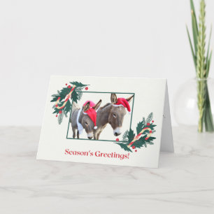 Cartão De Festividades Boxer e Benjamin desejam Felizes Festas!