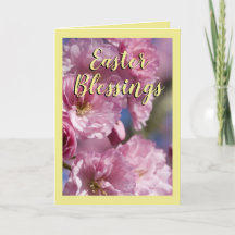 Brilhos amarelos e cor-de-rosa Blossomas de Páscoa