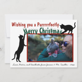 Cartão De Festividades Brincadeira Brincadeira Gatos Feliz Foto De Natal