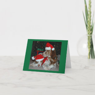 CARTÃO DE FESTIVIDADES BRITTANY FAMILY