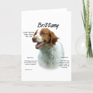 Cartão De Festividades Brittany History Design