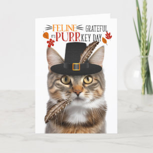 Cartão De Festividades Brown Tabby Cat Feline Grateful para PURRkey Day