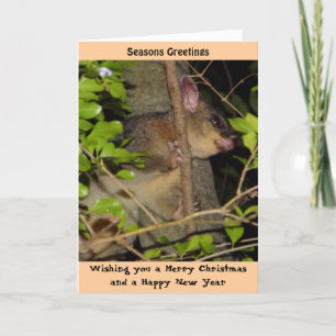 Cartão De Festividades Brushtail Possum Xmas Card