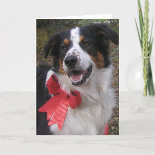 Cartão De Festividades Bryn com um Arco