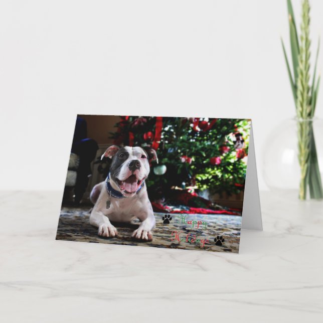 Cartão De Festividades Bubba boas festas (Frente)