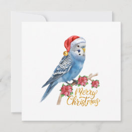 Cartão De Festividades Budgie Christmas Card