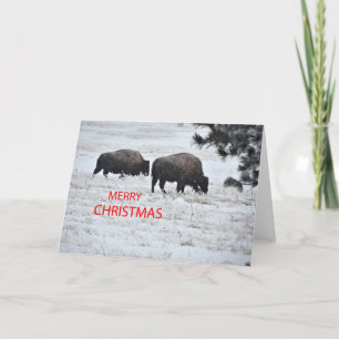 Cartão De Festividades Buffalo Christmas