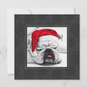 Cartão De Festividades Buldogue engraçado em um chapéu do papai noel co