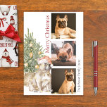 Cartão De Festividades Buldogue Francês e Foto de Cão-de-Pé-Árvore de Nat<br><div class="desc">Este belo cartão de Natal do Bulldog Francês mostra um Francês vestindo um chapéu de Papai Noel sentado em frente a uma árvore de Natal iluminada. A saudação no cartão diz "Feliz Natal" e pode ser personalizada. Personalize ainda mais este cartão de feriado com três fotos do seu cão de...</div>