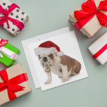 Cartão De Festividades Buldogue Inglês Vestindo Santa Hat<br><div class="desc">cão de natal - cão-de-banho inglês vestindo santa que segurando o sino de natal em fundo branco © e ® Bigstock® - Todos os Direitos Reservados.</div>