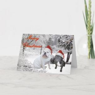 Cartão De Festividades Buldogue Natal