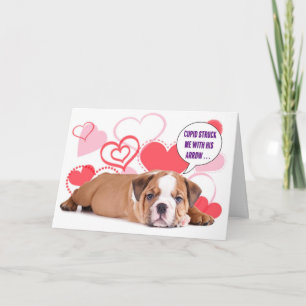 Cartão De Festividades Bulldog Puppy Valentine's Card