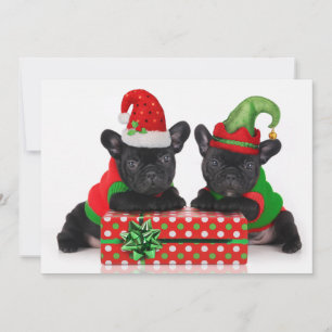 Cartão De Festividades bulldog puppy with Christmas gift