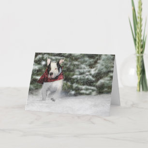 Cartão De Festividades Bulldog Rescue Pup Dashing through the Snow